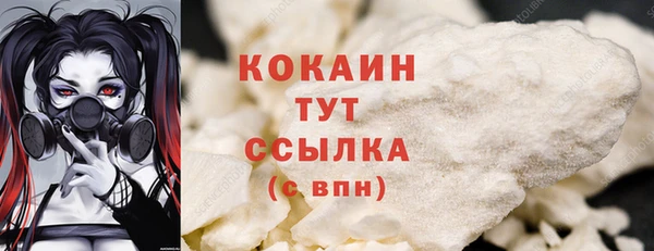 мдпв Козельск