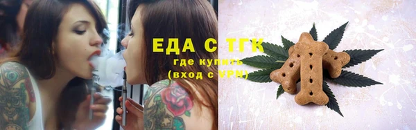 мдпв Козельск