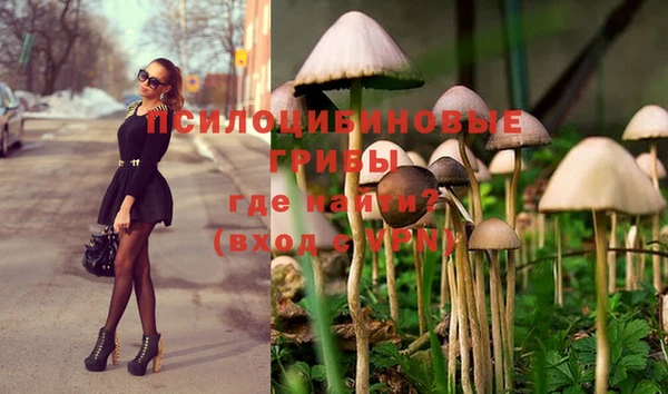 марки lsd Кодинск