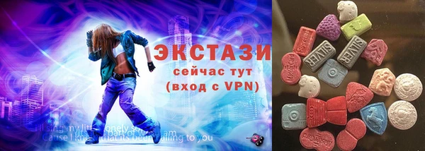 мдпв Козельск